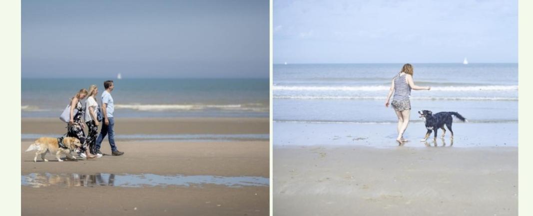 Strandchalet Bredene Luaran gambar