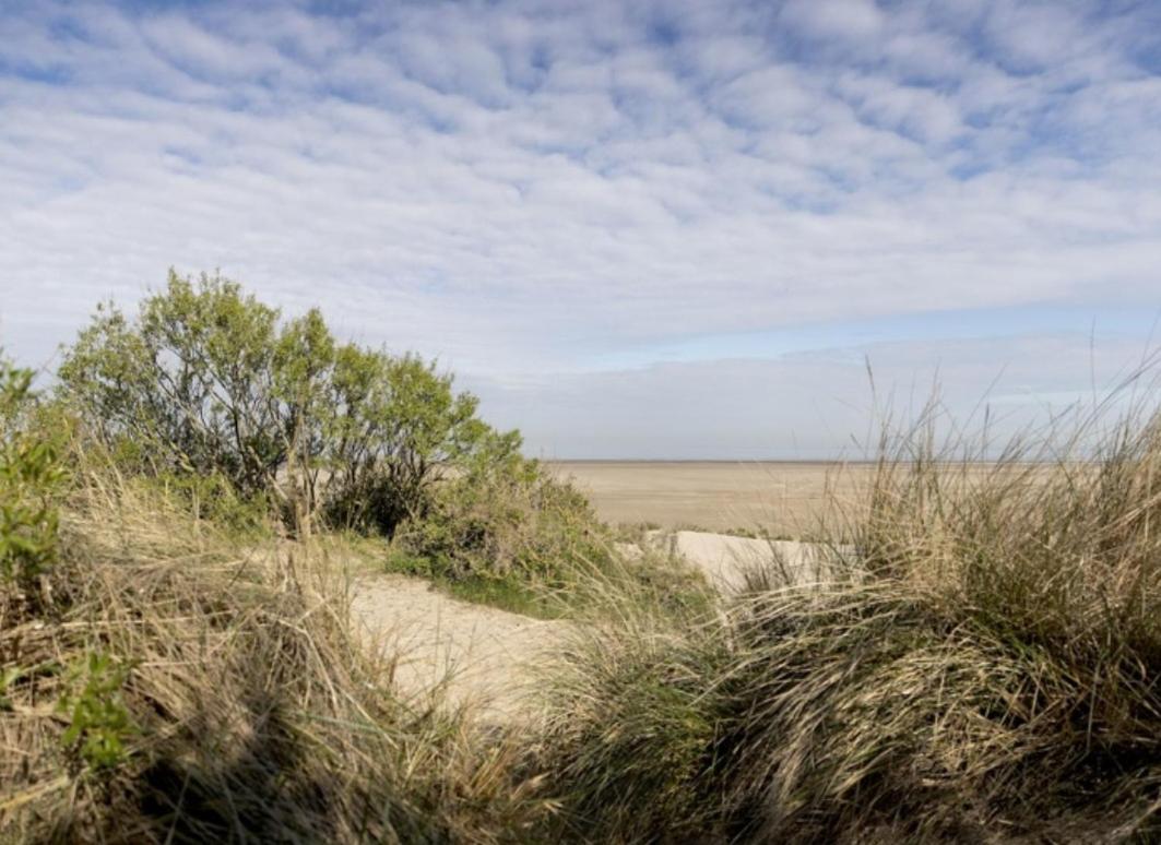 Strandchalet Bredene Luaran gambar